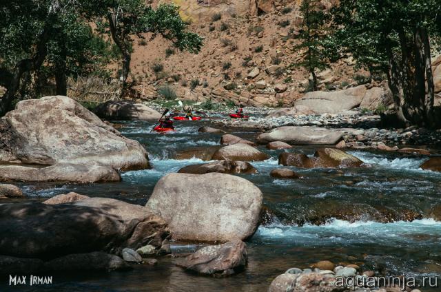 2. Цецегт гол